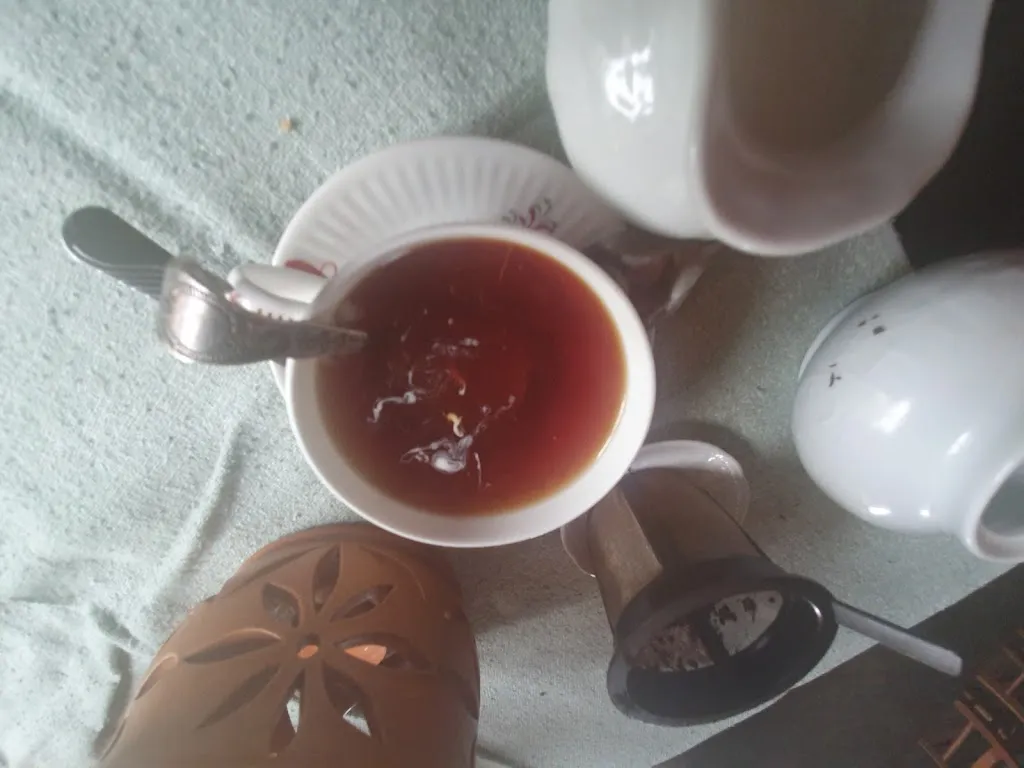 Menu_Teestube Wangerooge UG _Wangerooge_immagine_9