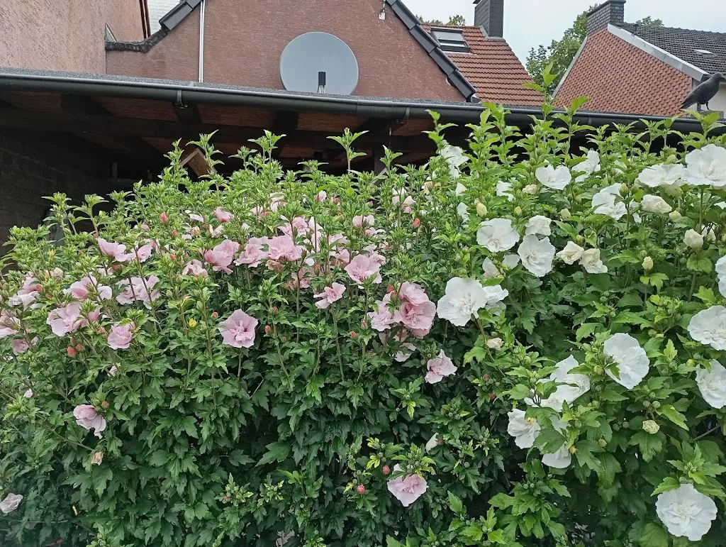 Bei Mirza Imbiss Grill_Weener_slider_image_3