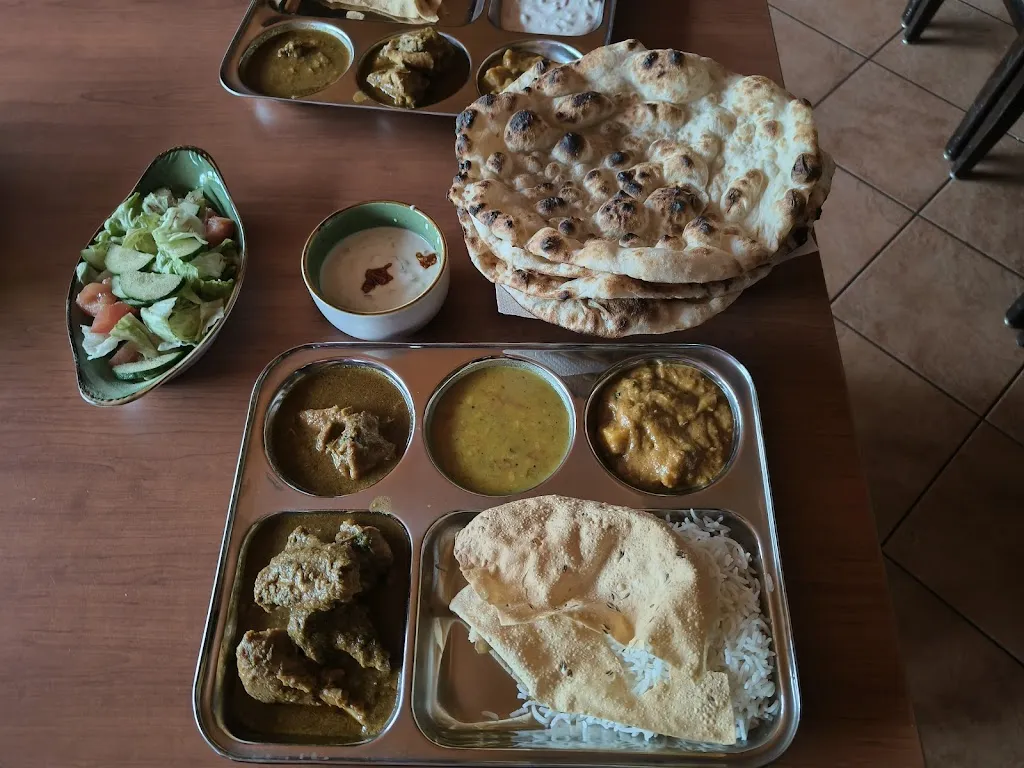 Akhil Nair_Swamy Indisches Restaurant_Erlangen_review