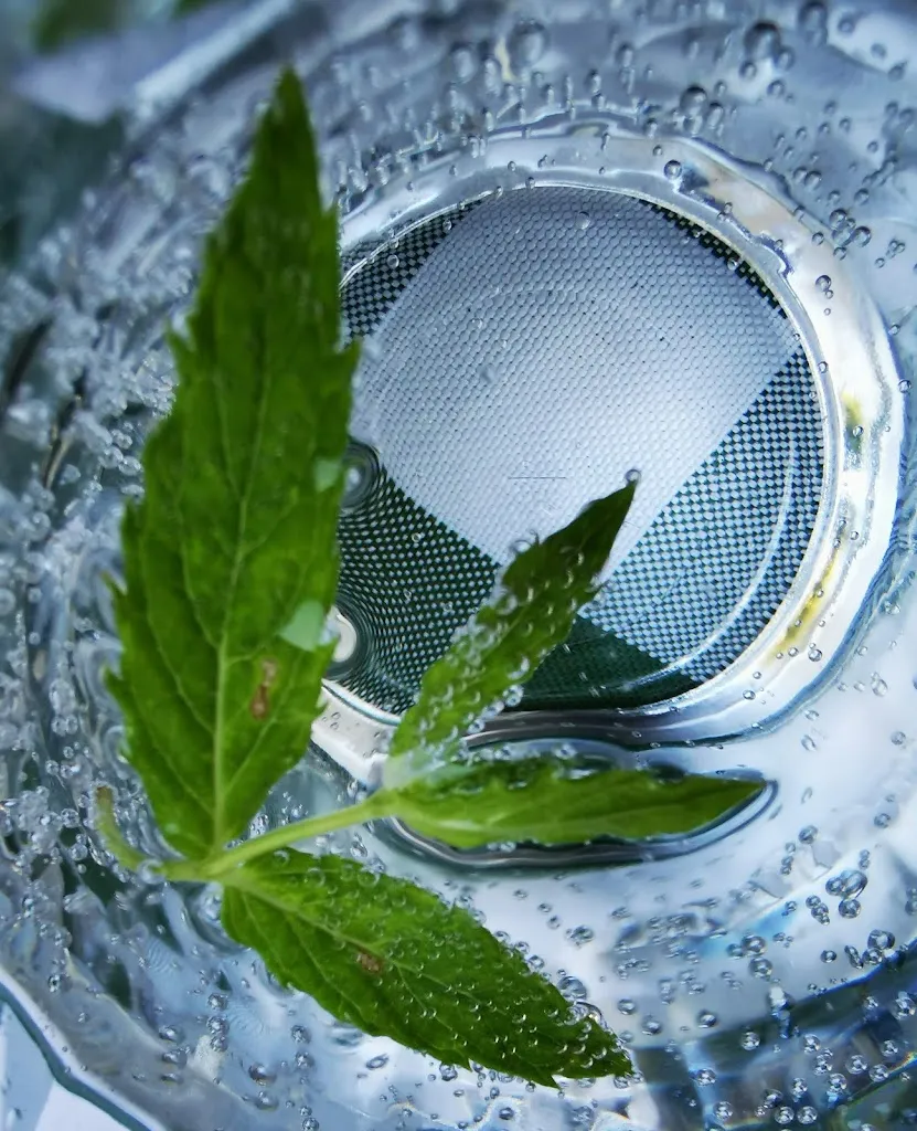 Menu_Bären Madiswil_Madiswil_image_7