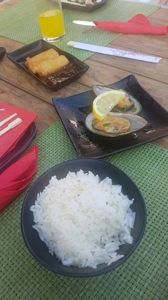 Menu_Oishii Sushi & Grill_Breisgau_image_6