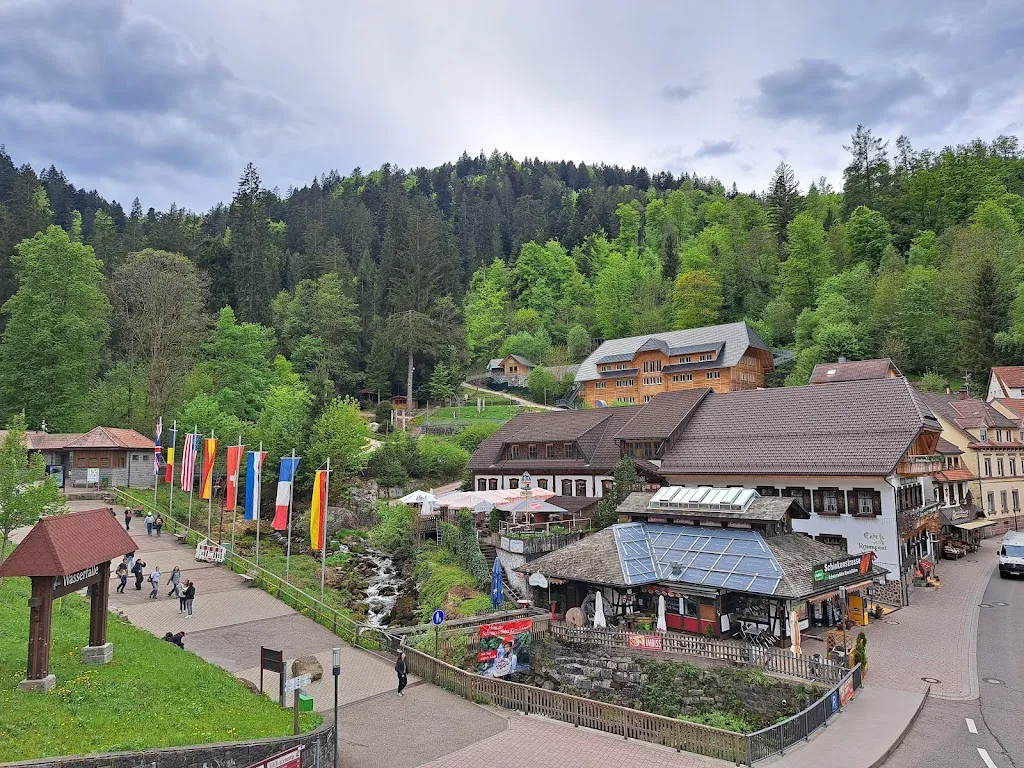 KB Dragonfly_Pfaff_Schwarzwald_review