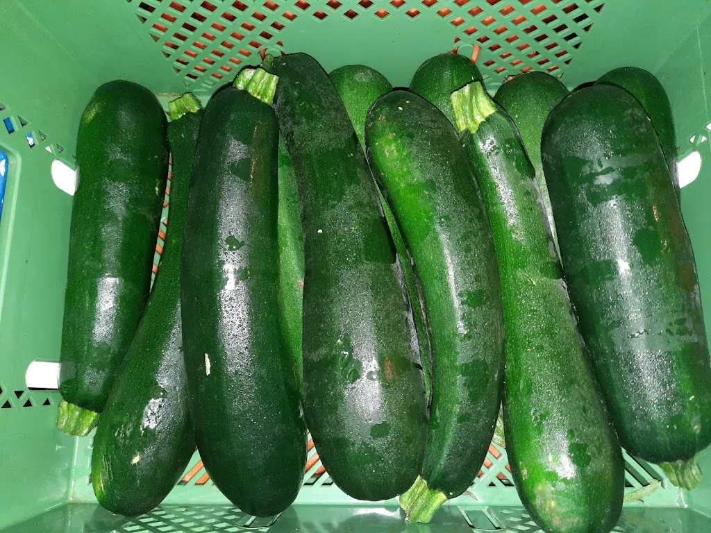 Menu_Salz & Pfeffer_Erlangen_image_3