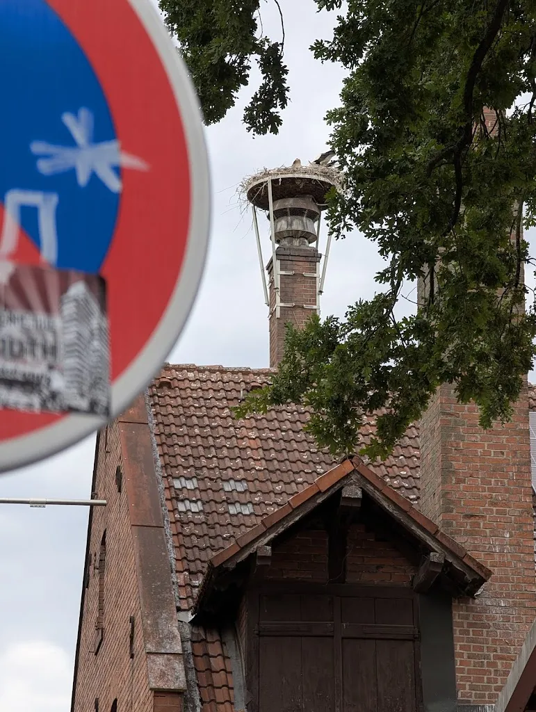 Joe D_Steinbach Brewery Erlangen_Erlangen_review