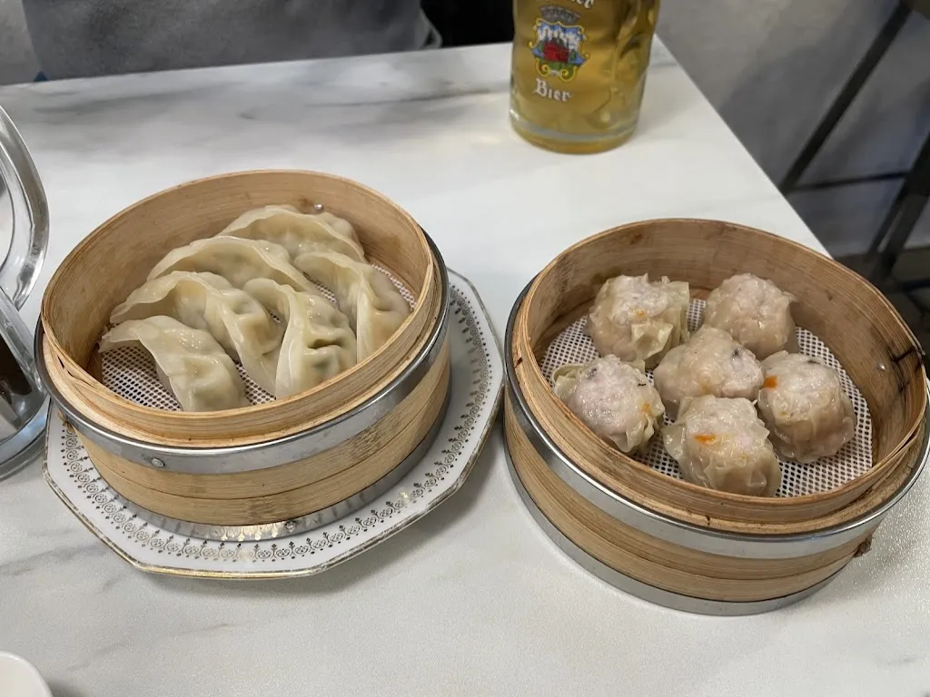 Ivana Stojilkovic Mucalov_Mei_Erlangen_review