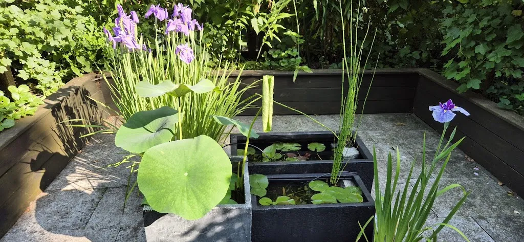 Dennis Scheuring_Cafe Dahl_Nordseeküste_review