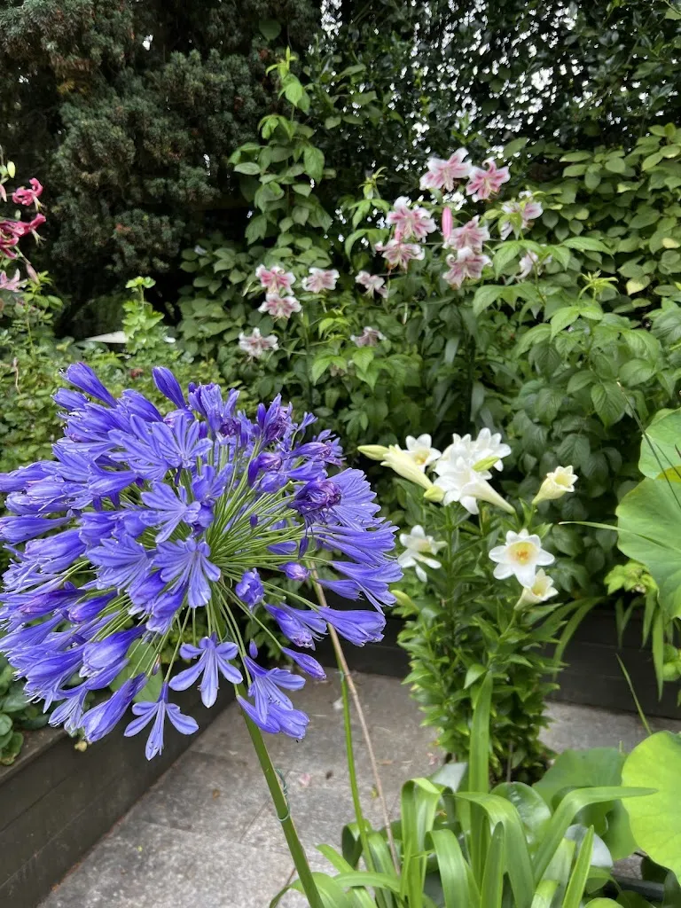 Nura H._Cafe Dahl_Nordseeküste_review