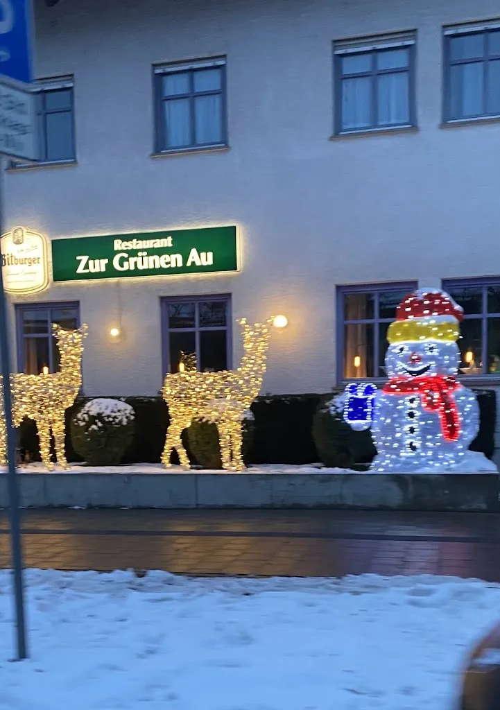 Tak Wong_Zur Grünen Au - Erlangen_Erlangen_review