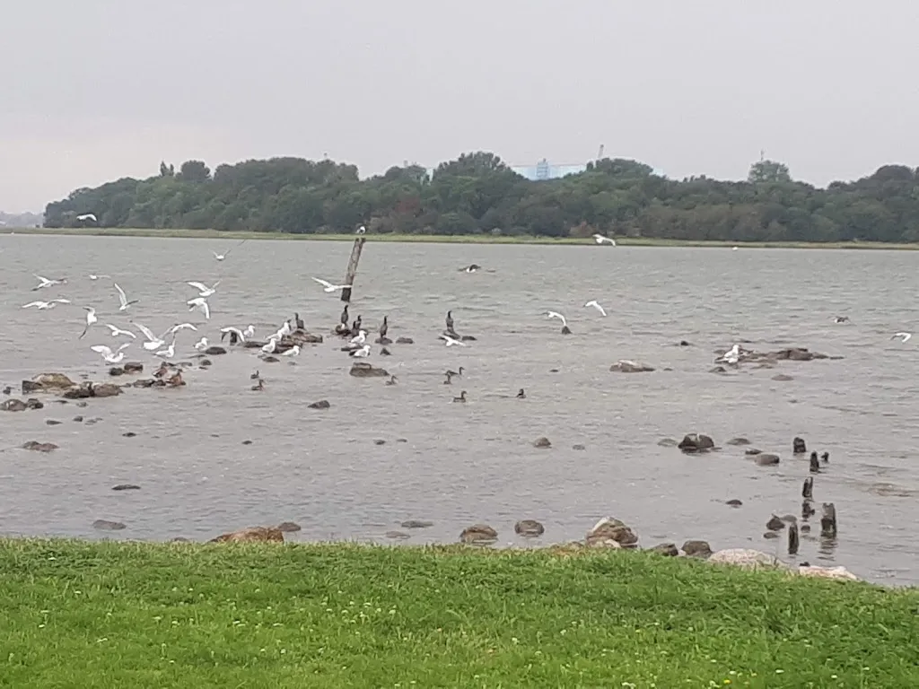 Gasthof Grahlerfähre Restaurant und Ferienwohnungen auf Süd Rügen_Altefähr_slider_image_2