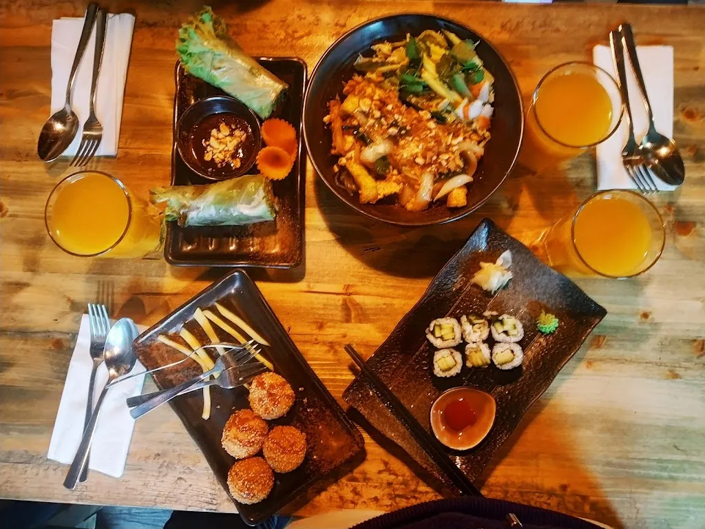 Pramodini Parthasarathy_Huong Viet_Erlangen_avis