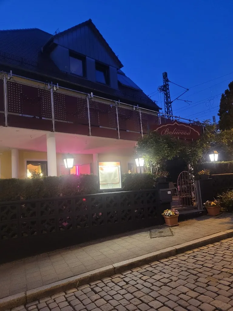 Thanix Ravindran_Boliwood_Erlangen_review