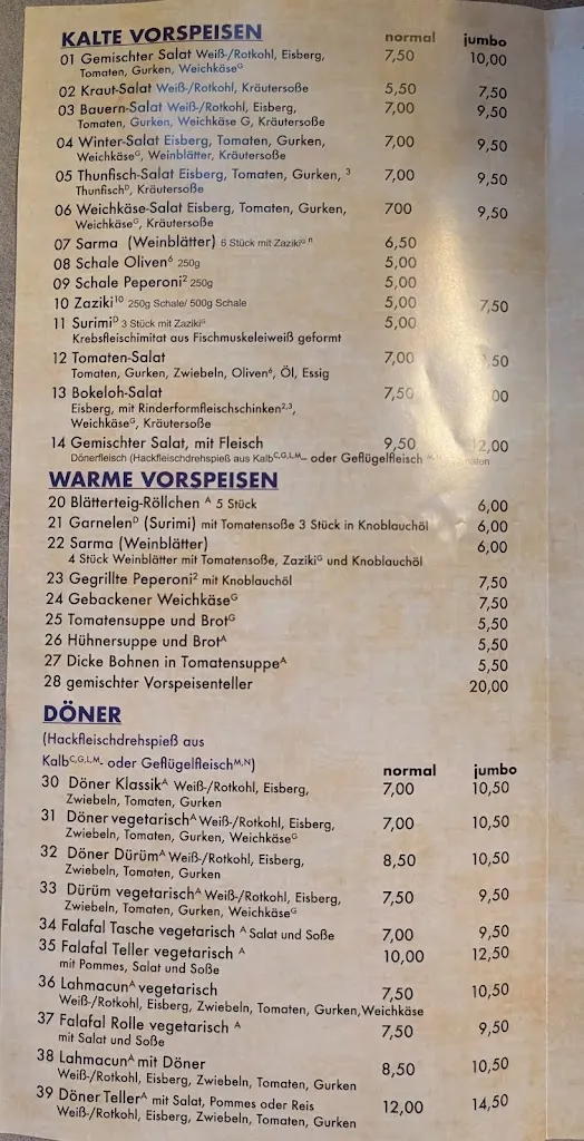 Menü_Degirmen Restaurant_Wunstorf_Bild_3