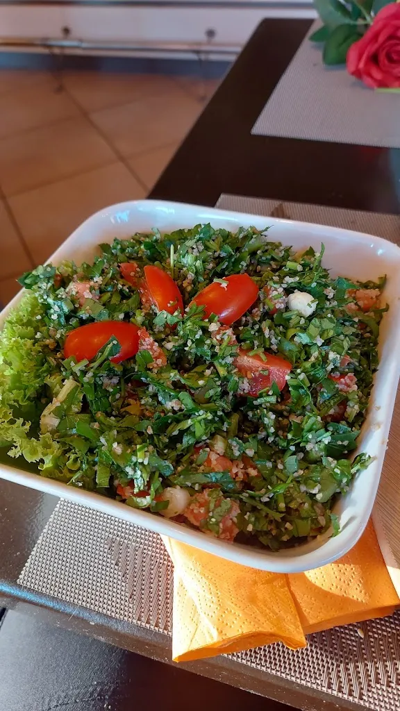 Menu_Habibi Restaurant_Wunstorf_immagine_5