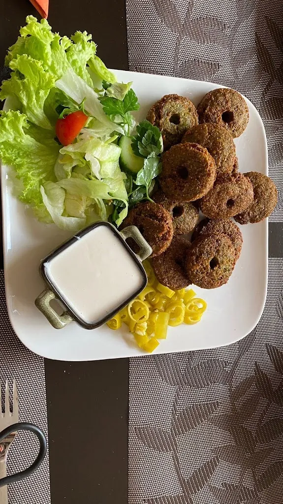 Menu_Habibi Restaurant_Wunstorf_immagine_8