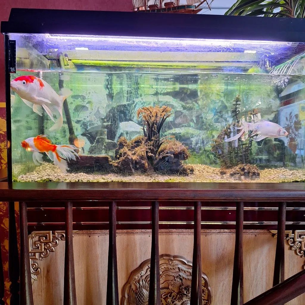 Buffet-Center China Vietnam Restaurant ristorante a Anklam