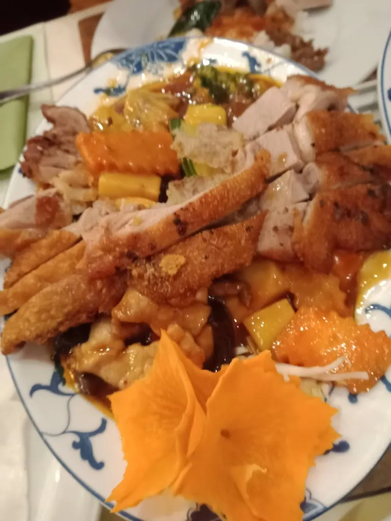 Menu_Lotus Restaurant_Altenkirchen_immagine_6