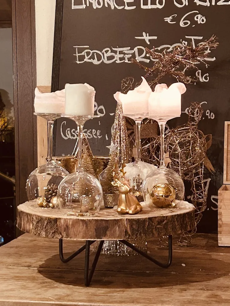 Göknur Çelik_TIO Rustica_Erlangen_review