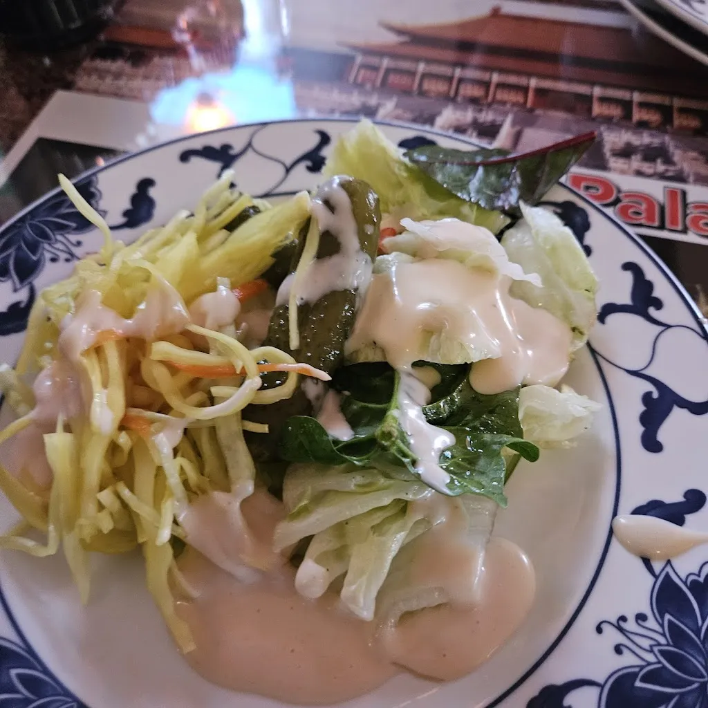 Menu_Asia Palast - Boizenburg Elbe_Boizenburg/Elbe_image_9