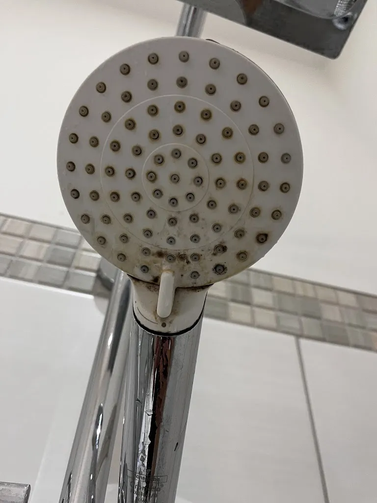 Turtle Travels _Weinhaus Uhle_Schwerin_recensione