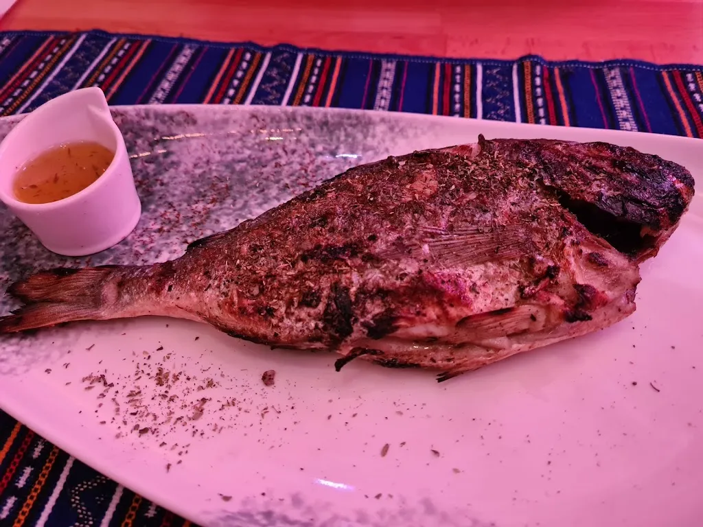 kashyap srisha_Argo_Neckar_reseña