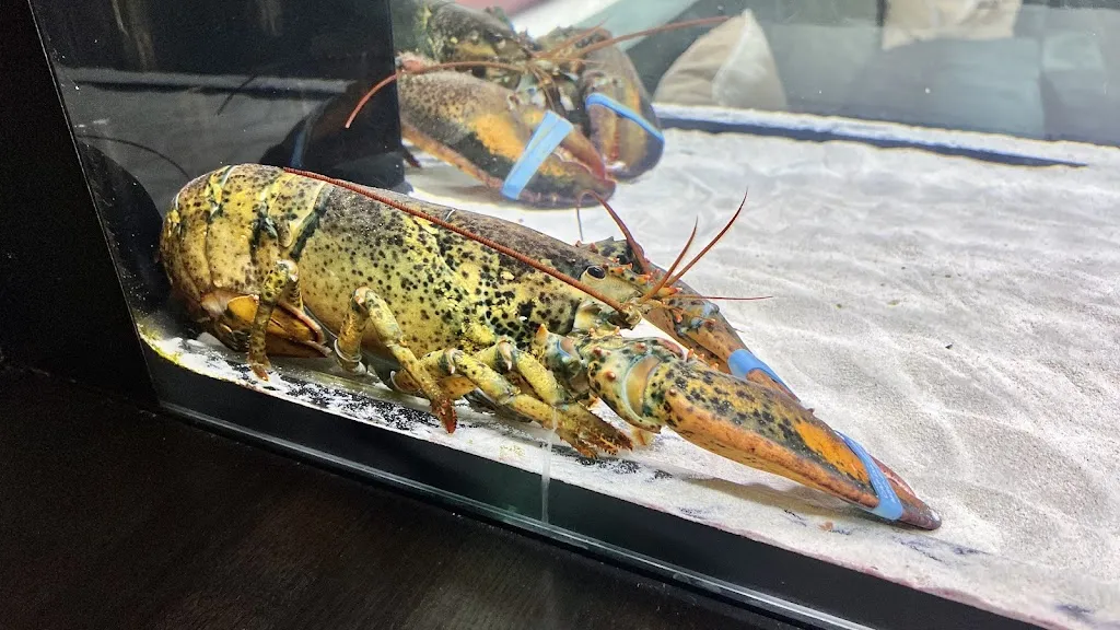 Menu_Pavillon Steak House_Czechia_immagine_7