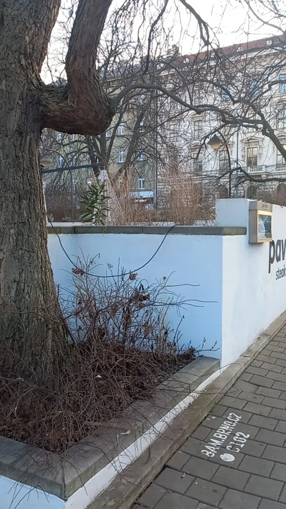 Pavillon Steak House_Czechia_slider_image_2