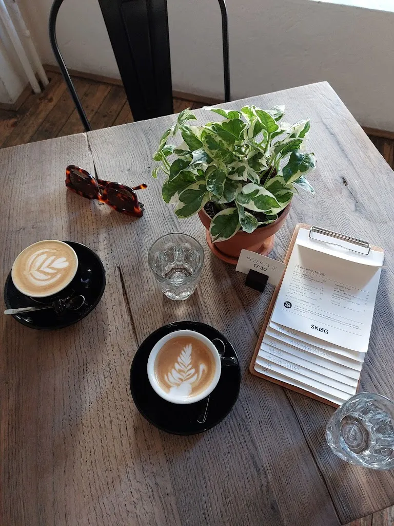 Menu_SKØG_Czechia_image_5