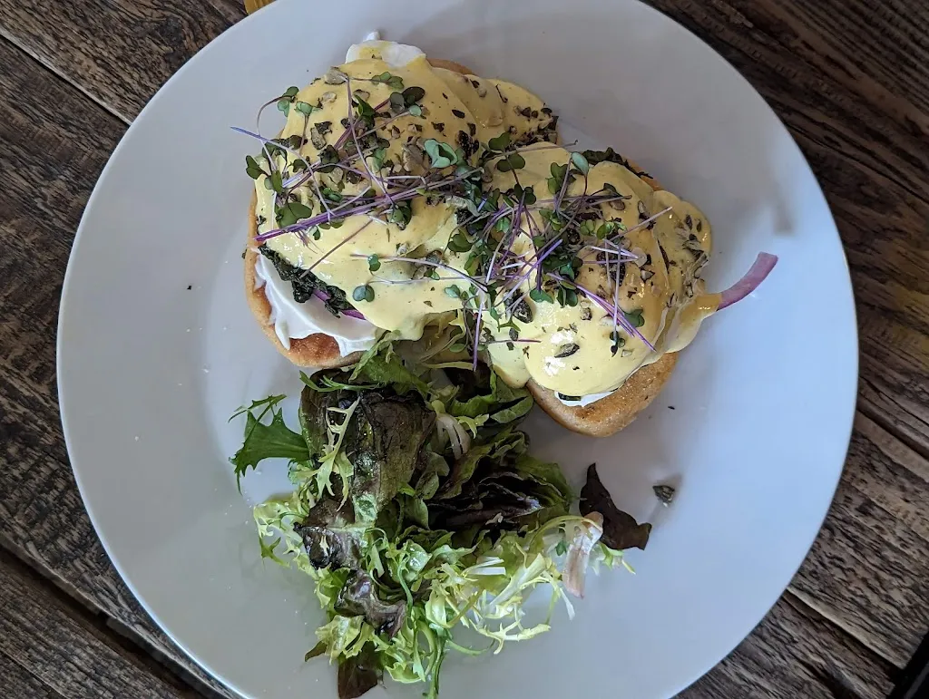 Menu_SKØG_Czechia_image_6