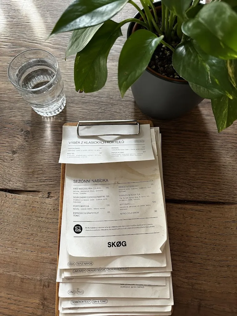 Ksana_SKØG_Czechia_review