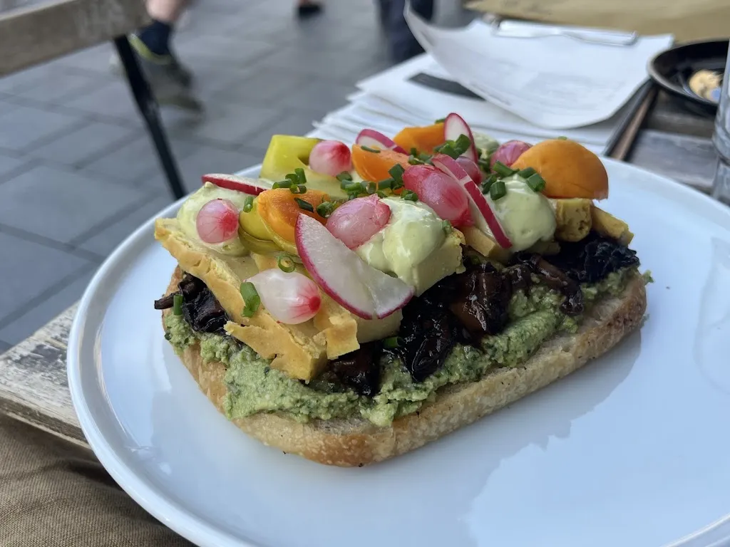 Markus A Ljungberg_SKØG_Czechia_review