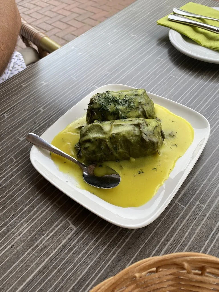 Menu_Armonia_Bonn_immagine_6