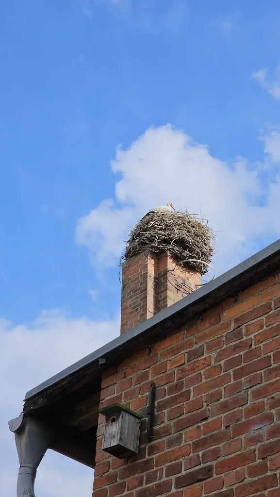 2412 sommer_Elb-Cafe_Dömitz_review