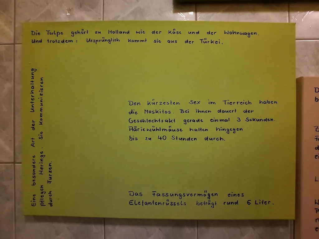 Menu_martins music café_Dömitz_immagine_4