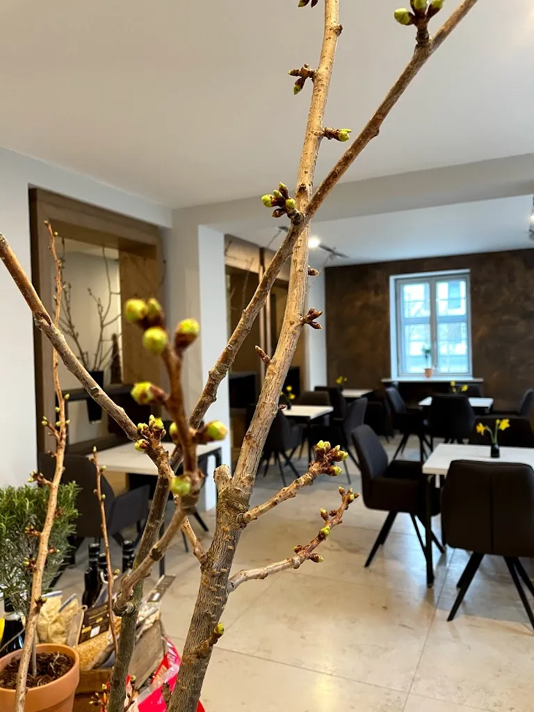 Natürlich Büttners restaurant in Greifswald