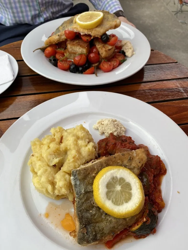 S. C._Hornfischbar_Greifswald_avis