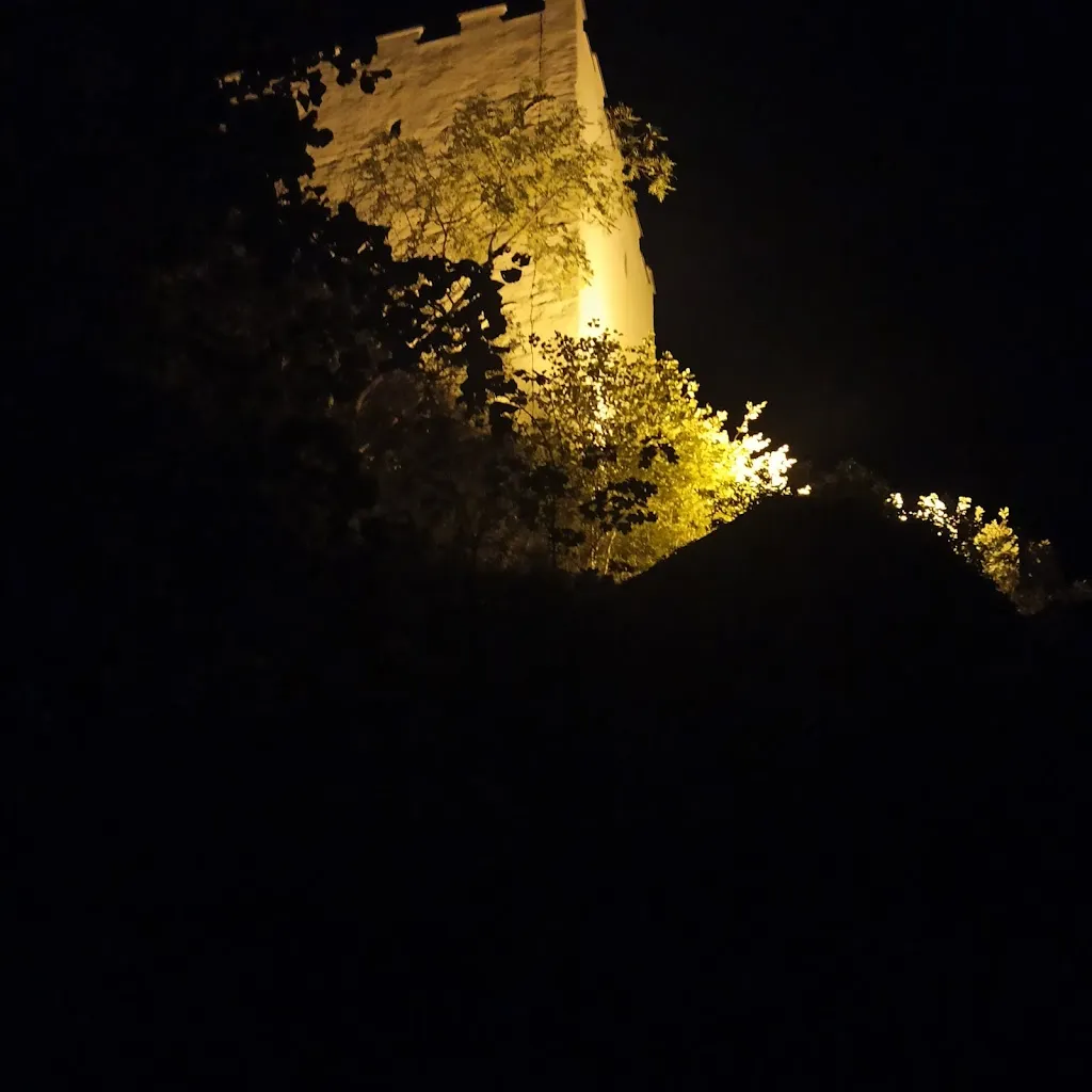 Barbara Friedl_WheB GmbH_Falkenstein_review