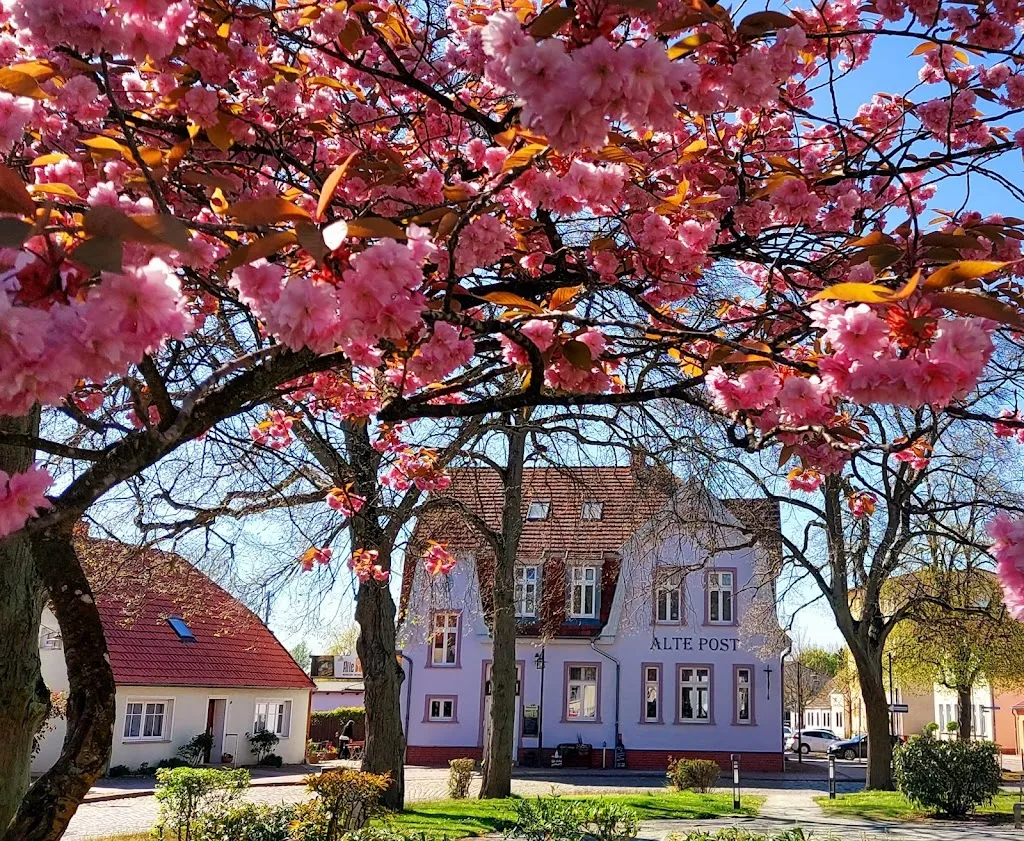 Jennifer Elisabeth_Alte Post Gingst_Gingst_review