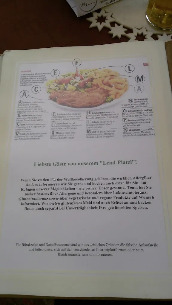 Menu_Gasthaus Lendplatzl_Austria_immagine_1