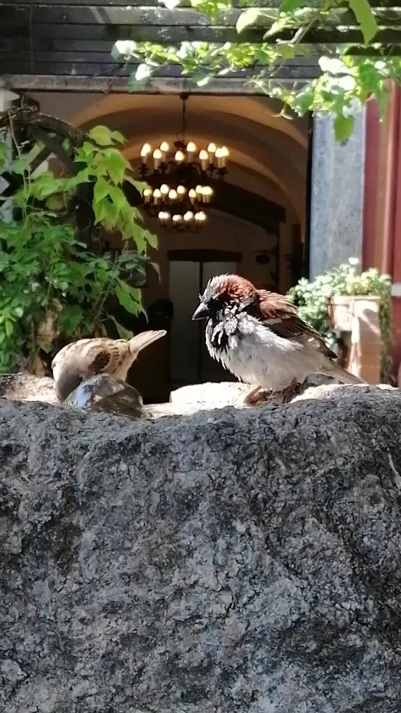 Gasthaus Lendplatzl_Austria_slider_image_2