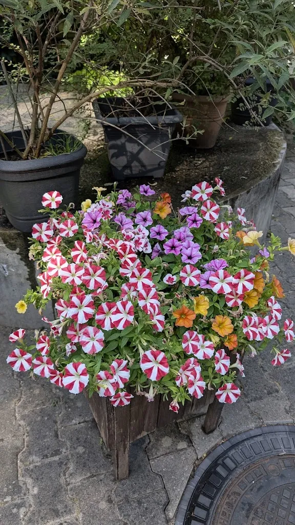 Siddhartha Alhat_Waldschänke Brückkanal_Feucht_review