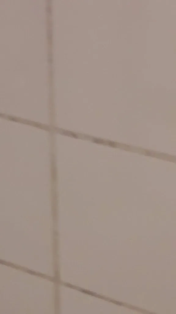 James Wilson_Wyndham Garden Wismar_Wismar_review