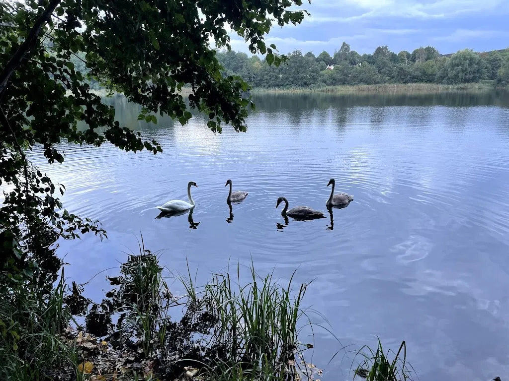 Seeschlösschen Restaurant und Café_Grevesmühlen_slider_image_3
