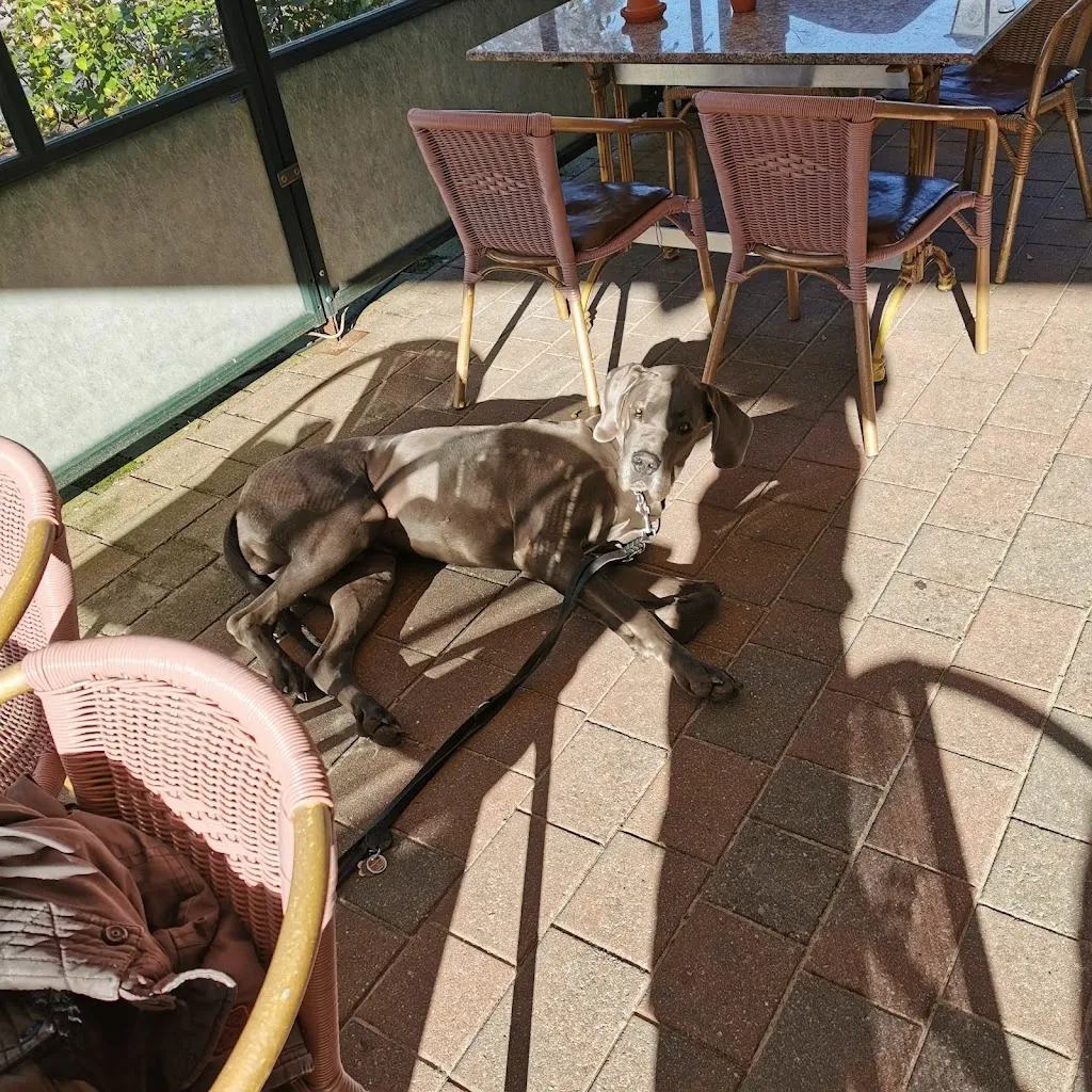 La Residenza_Karlshagen_slider_image_1