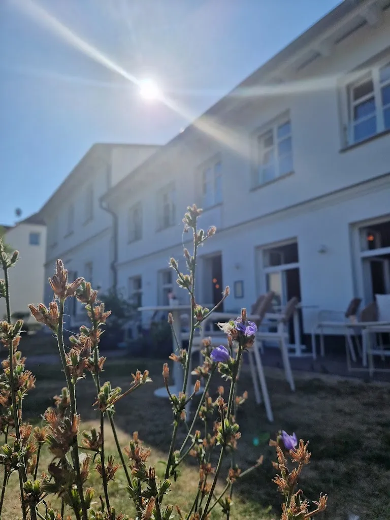 Anja Ramin_Maditas Sommer_Hiddensee_recensione