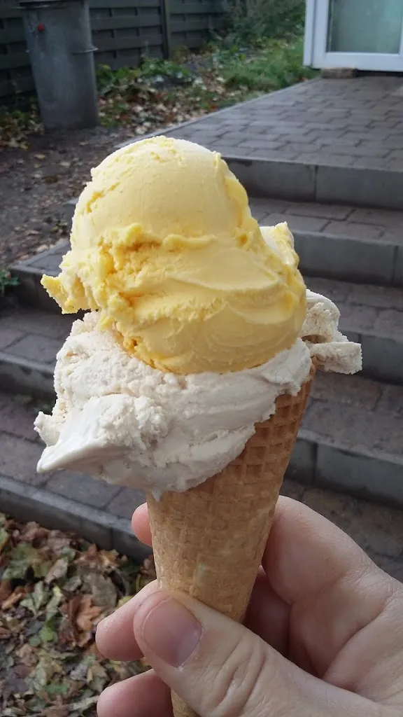 Menu_Sommerpalast Hiddensee UG / Eis Manufaktur Hiddensee_Hiddensee_immagine_2