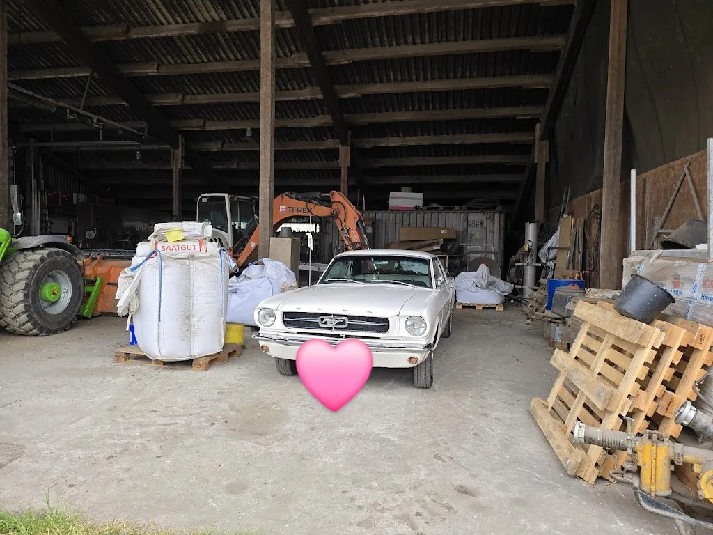 Anita Wiese_Vossberg Eventlocation_Lockwisch_review