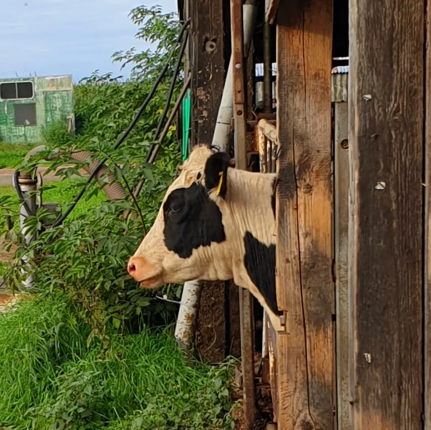 Vossberg Eventlocation_Lockwisch_slider_image_3