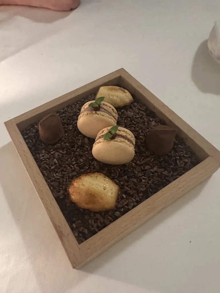 Juliana Koch_Stephans Stuben by Marco Langer_Neu-Ulm_review