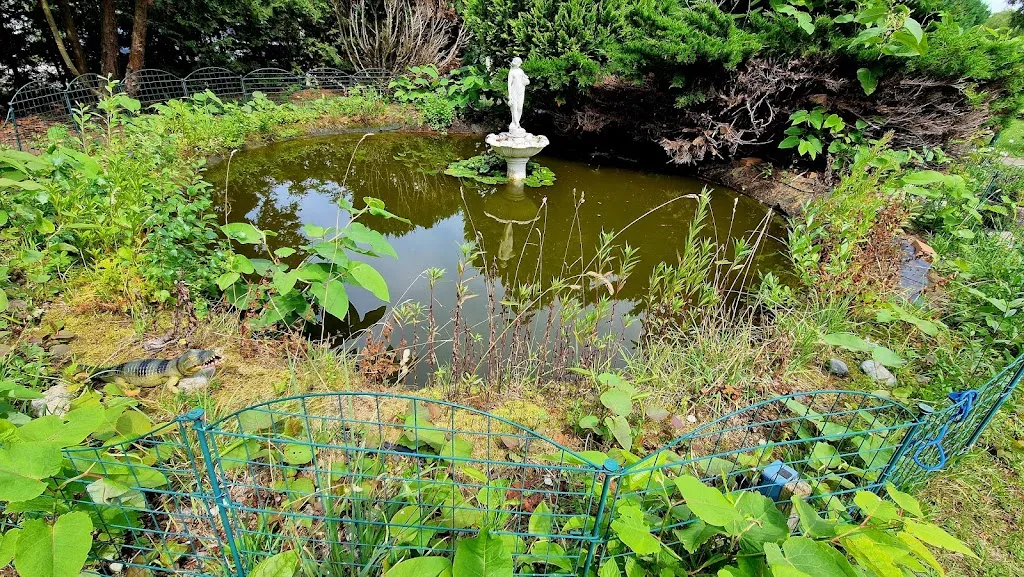 Ute B._Restaurant & Pension Boddenblick_Loissin_Bewertung