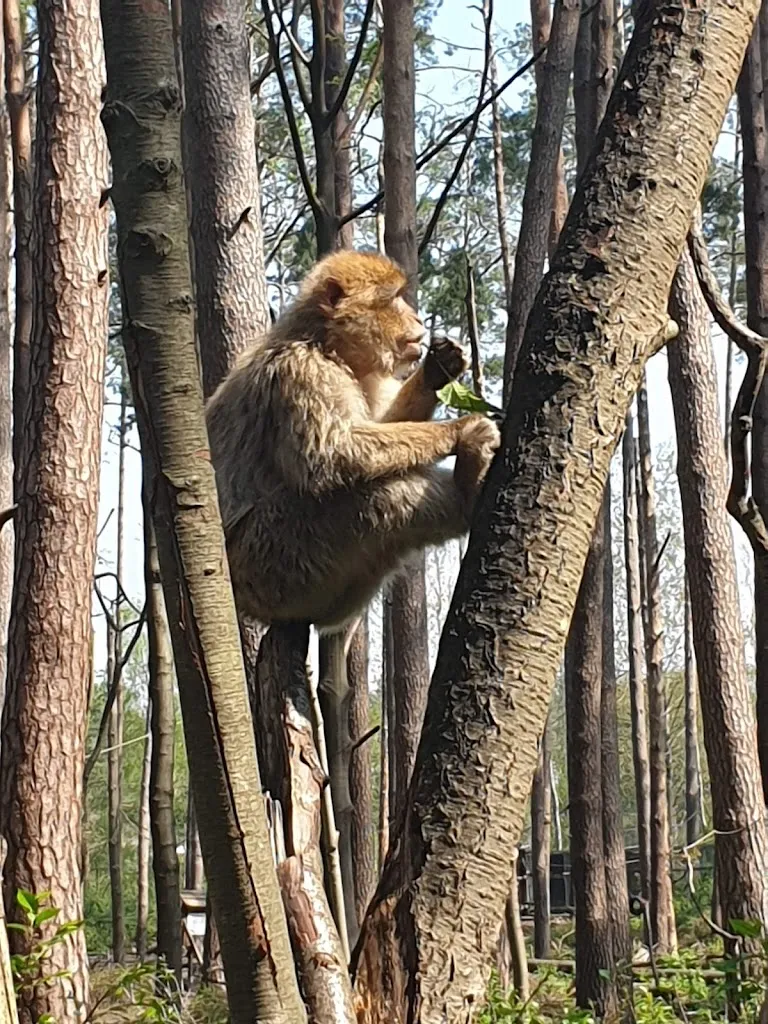 Imbiss_Malchow_slider_image_2